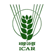 ICAR Award